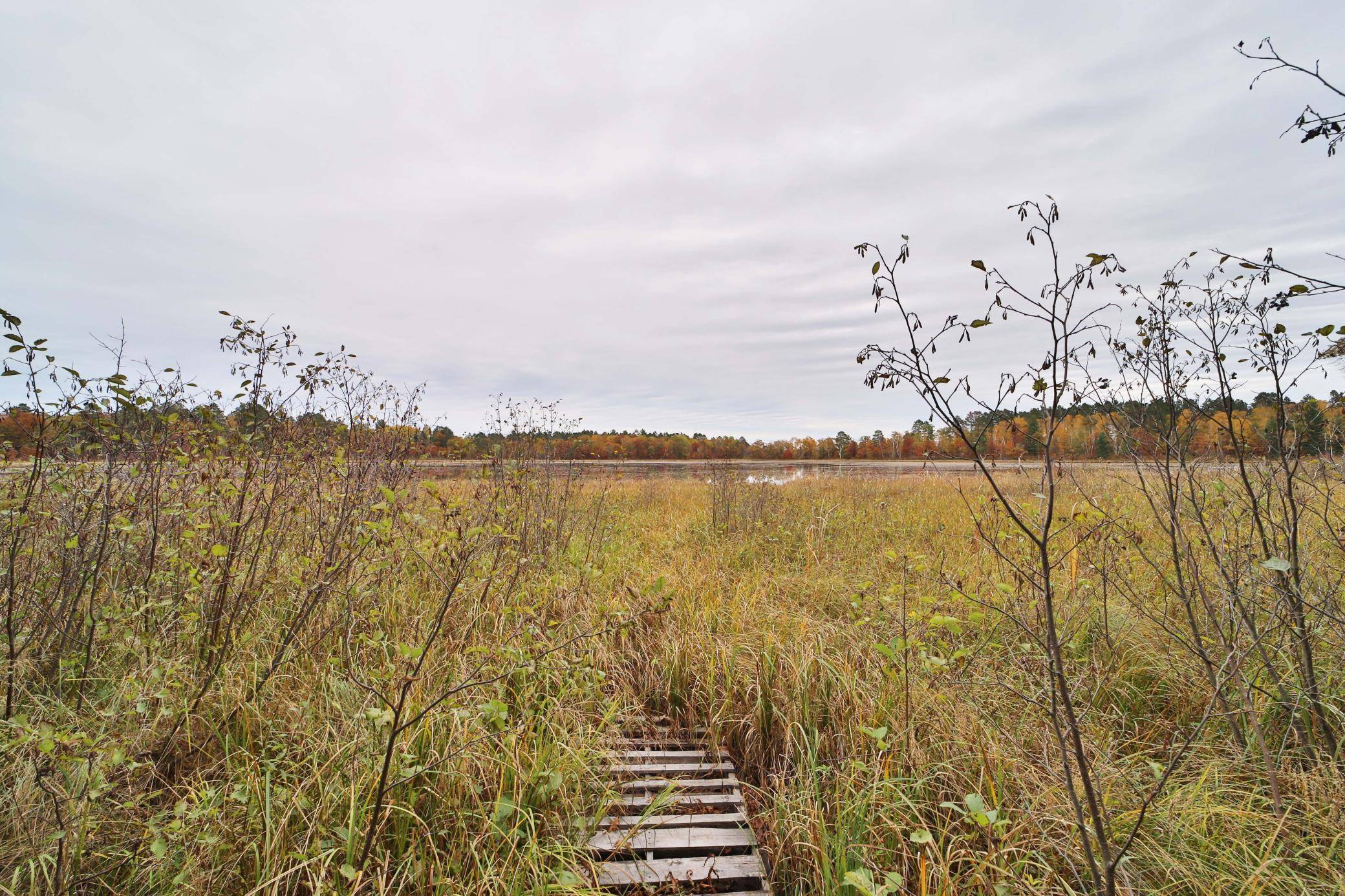 1022 Rock Elm TRL NW, Pine River, MN 56474