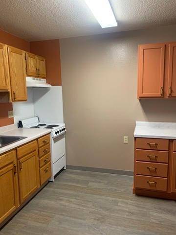 31 Chestnut ST E ##2, Trimont, MN 56176