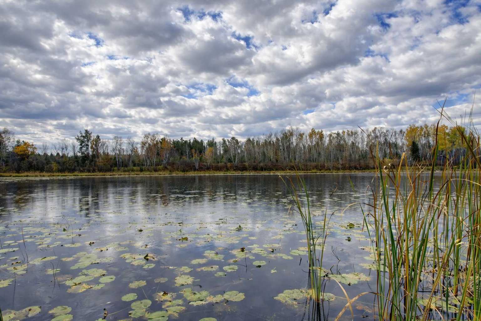 10675 County 41, Park Rapids, MN 56470
