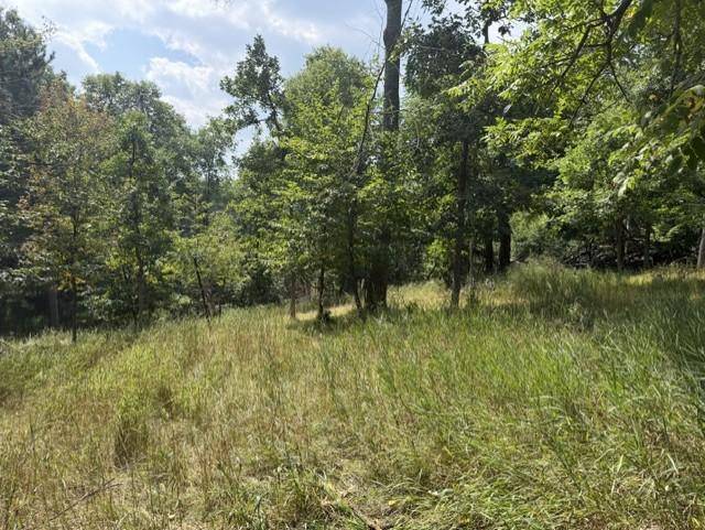TBD Breezy Point BLVD, Breezy Point, MN 56472
