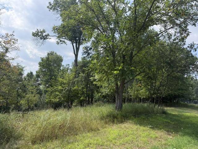 TBD Breezy Point BLVD, Breezy Point, MN 56472