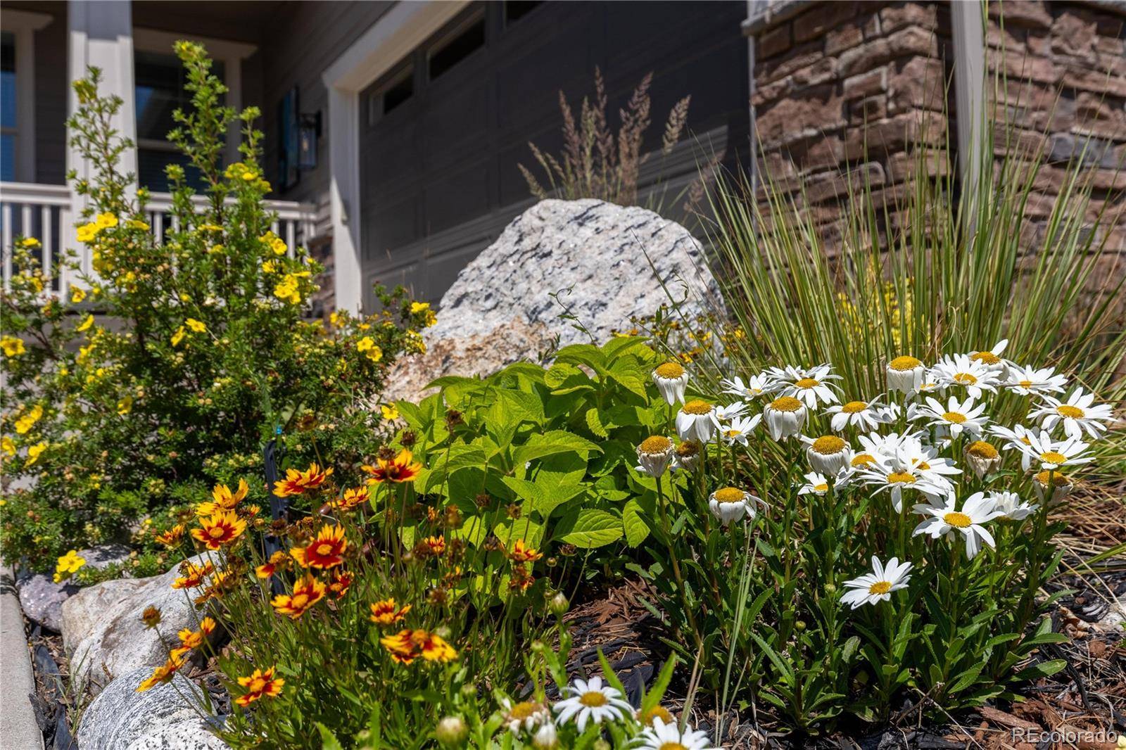 9519 Nile WAY, Arvada, CO 80007