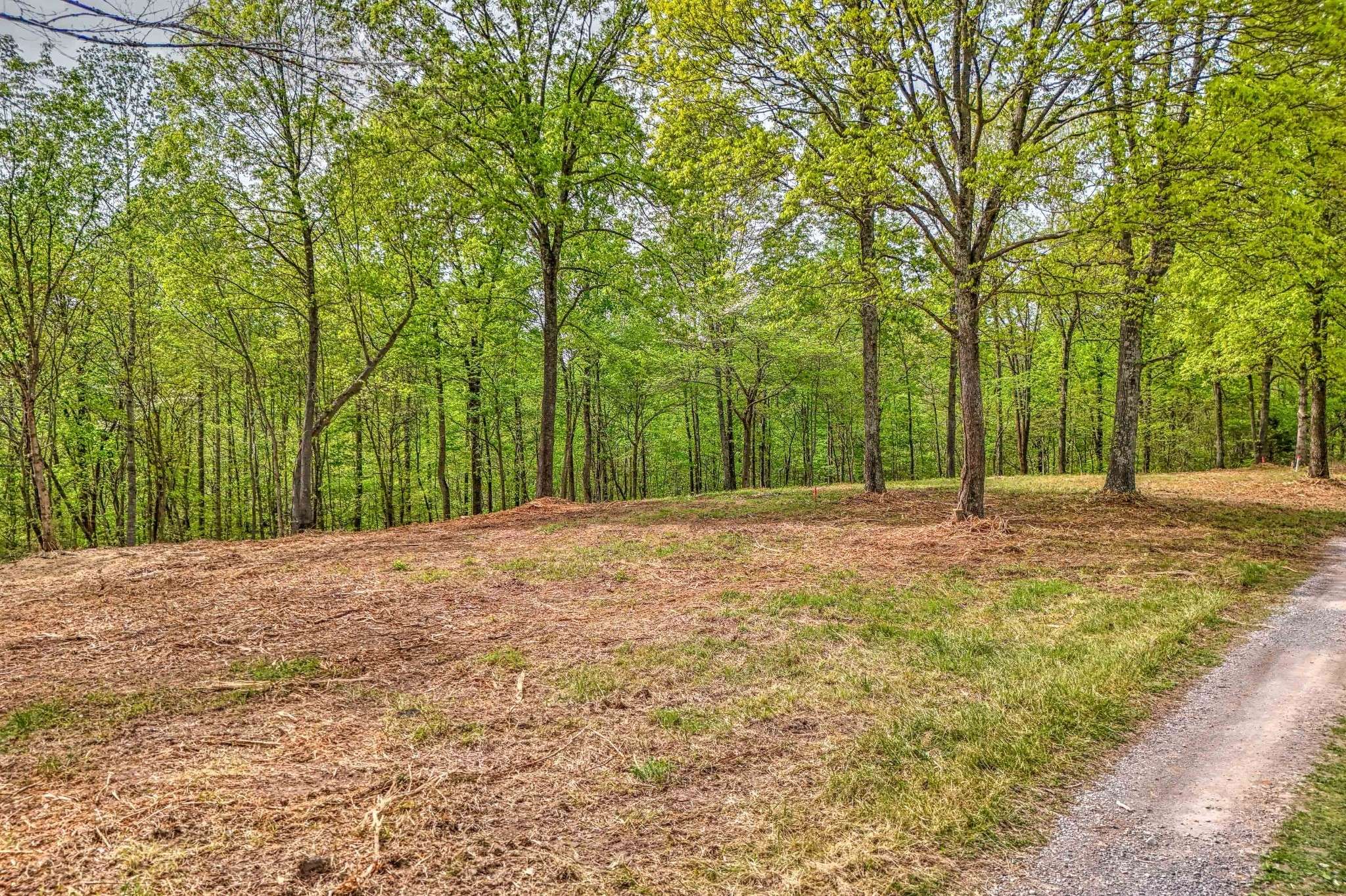 0 RBK Lane, Bethpage, TN 37022