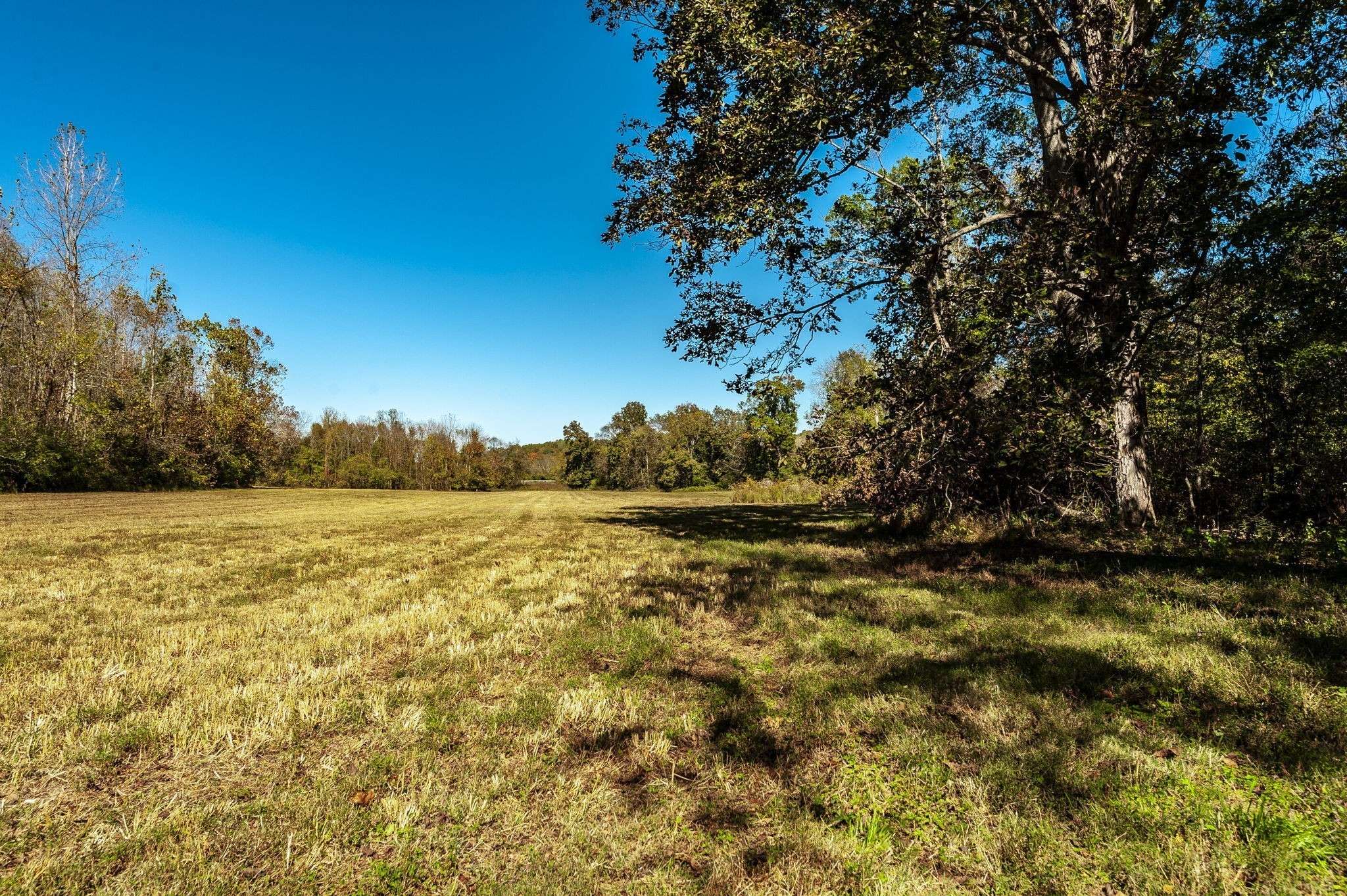 0 Highway 52E, Portland, TN 37148
