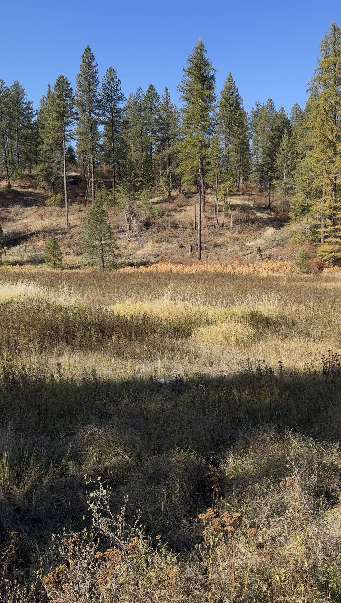 NKA W Bernhill Rd, Spokane, WA 99208