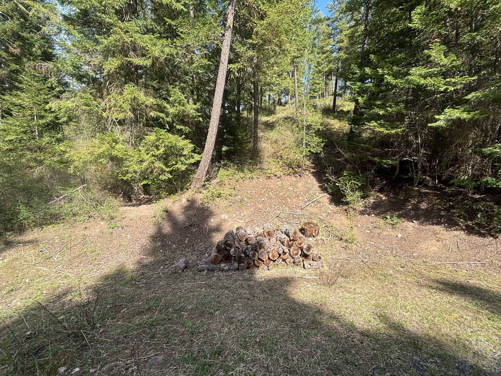 11XXX Hartley Ln #AKA E Deer Creek, Chattaroy, WA 99003