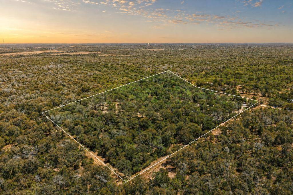 388 The Forest RD, Dale, TX 78616
