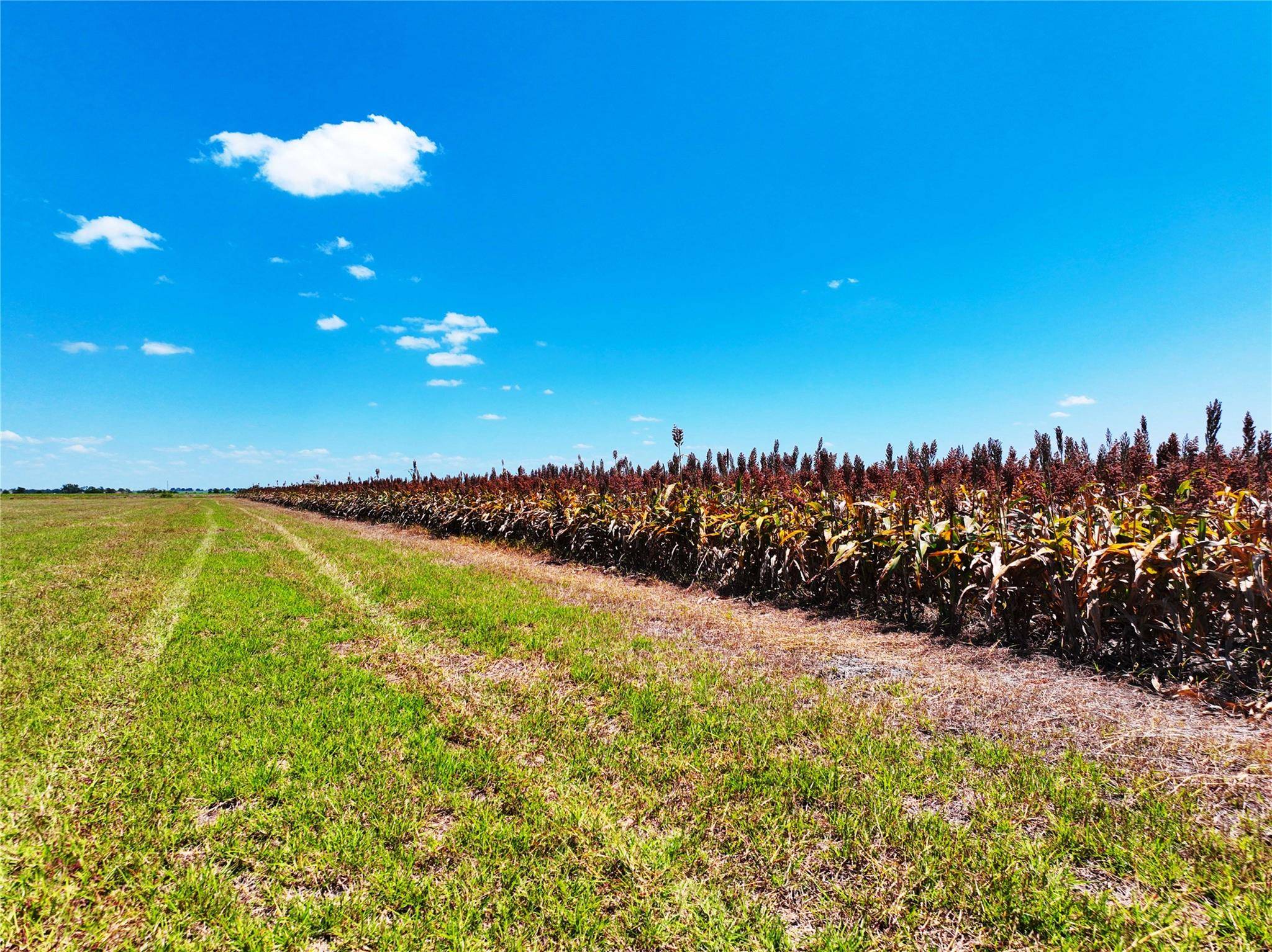 0000 FM 621, Martindale, TX 78655