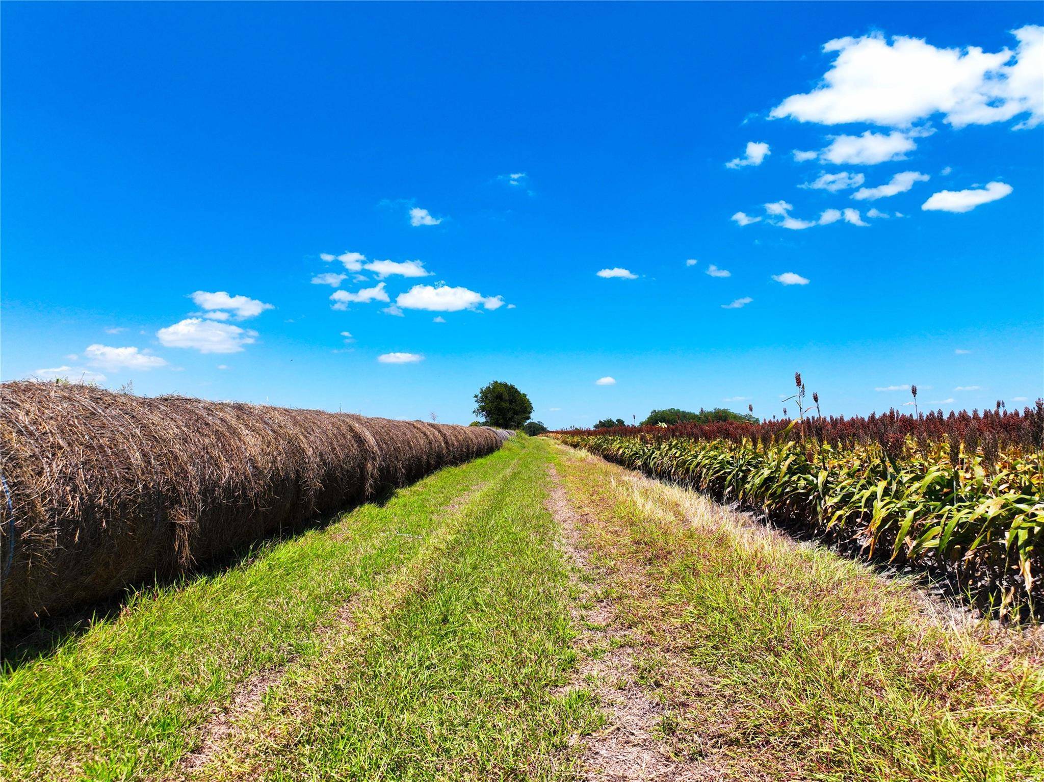 0000 FM 621, Martindale, TX 78655