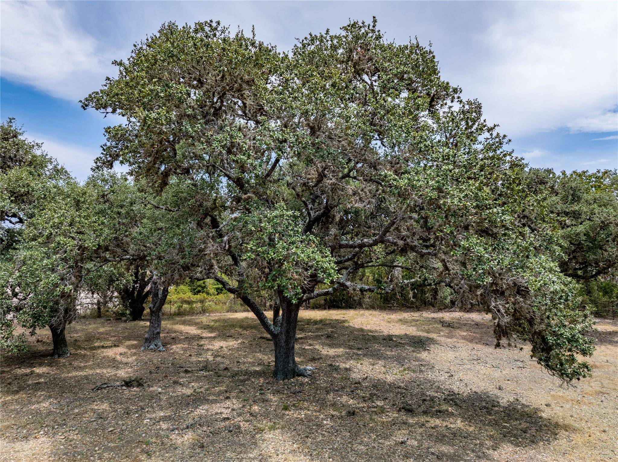 TBD Roitsch LN, La Grange, TX 78945