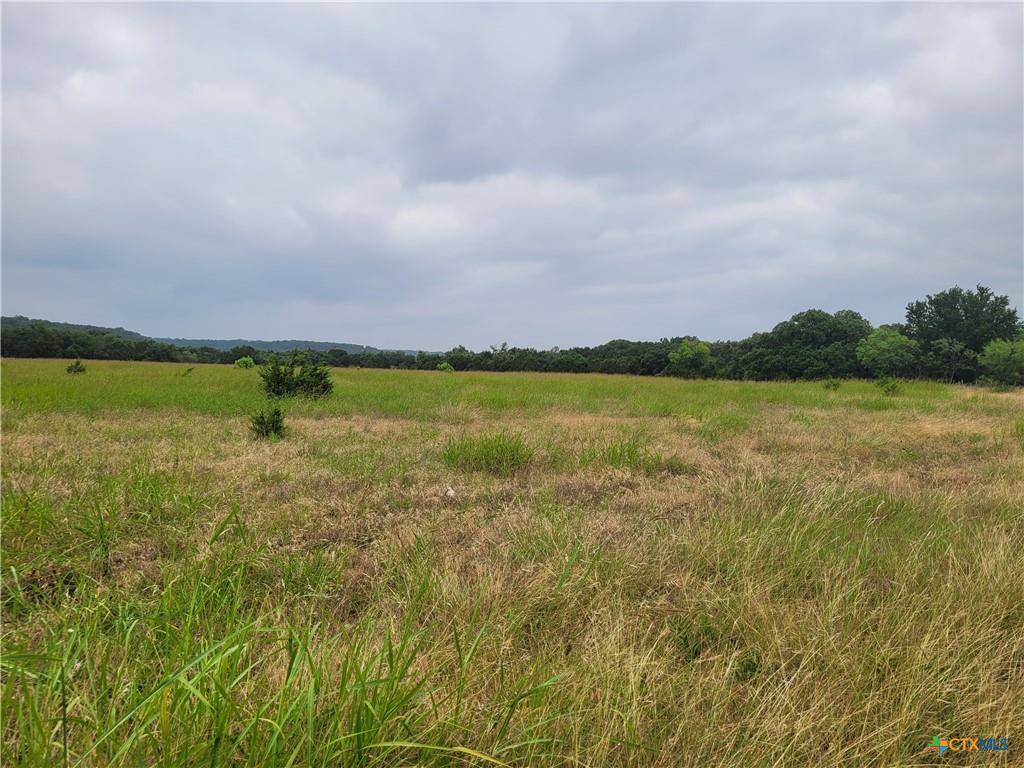 9680 E Highway 190, Kempner, TX 76539