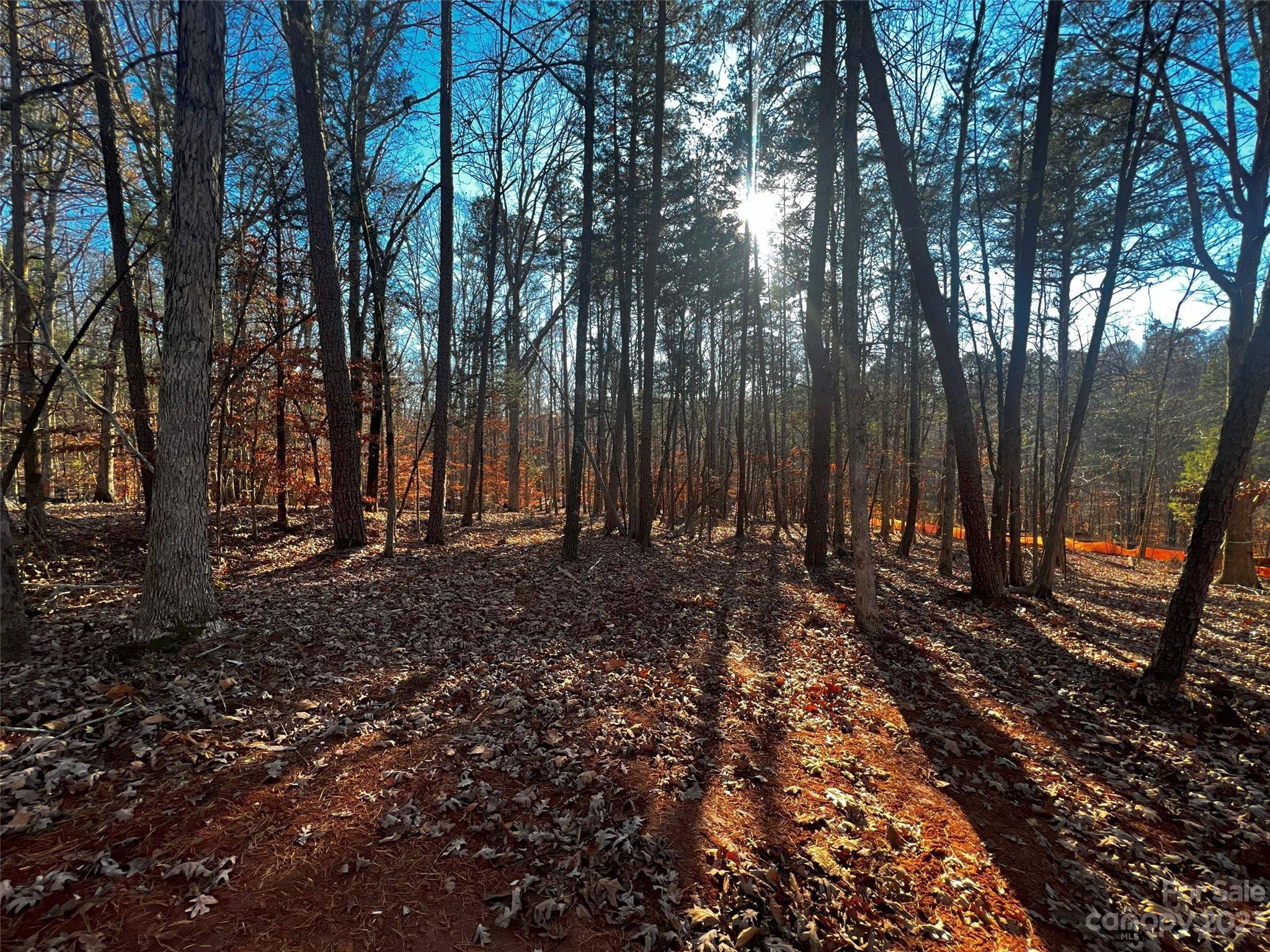 157 Copper Pine LN #7, Davidson, NC 28036