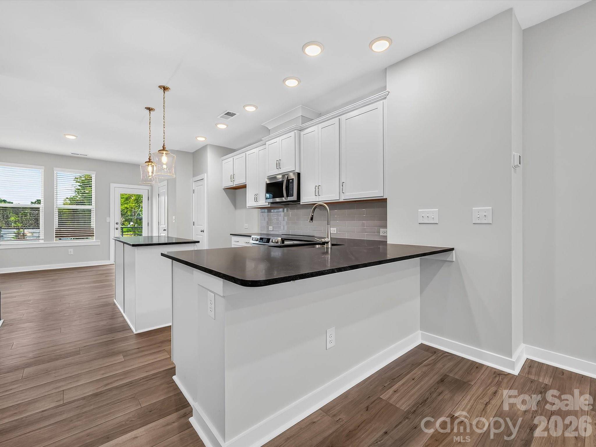 1132 Bismuth LN, Charlotte, NC 28211
