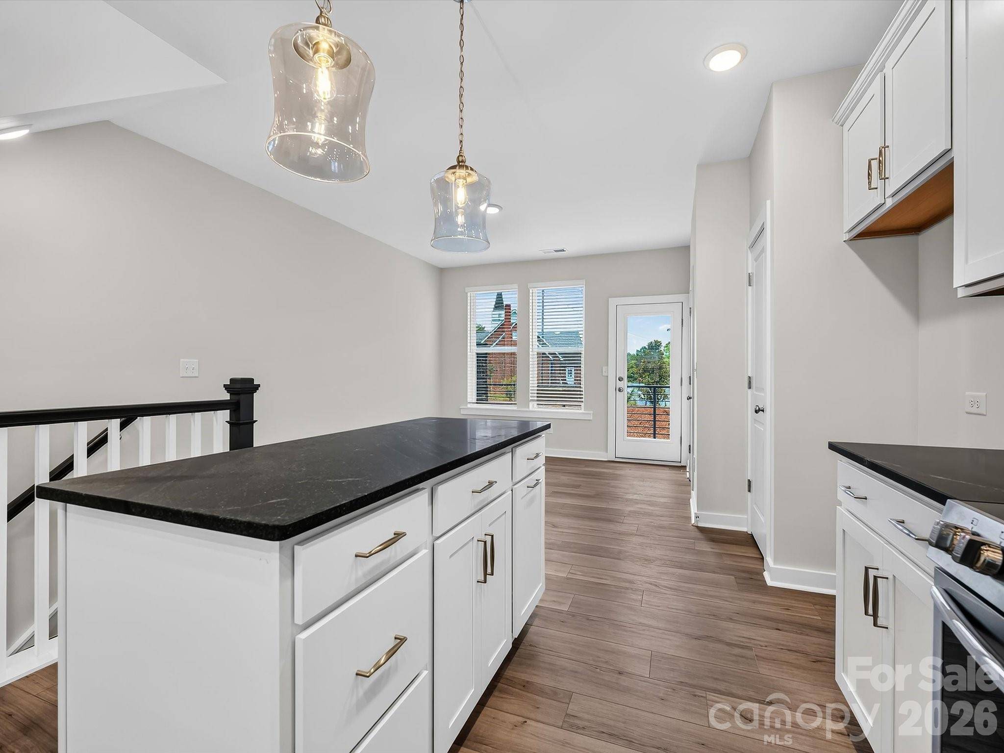 1132 Bismuth LN, Charlotte, NC 28211