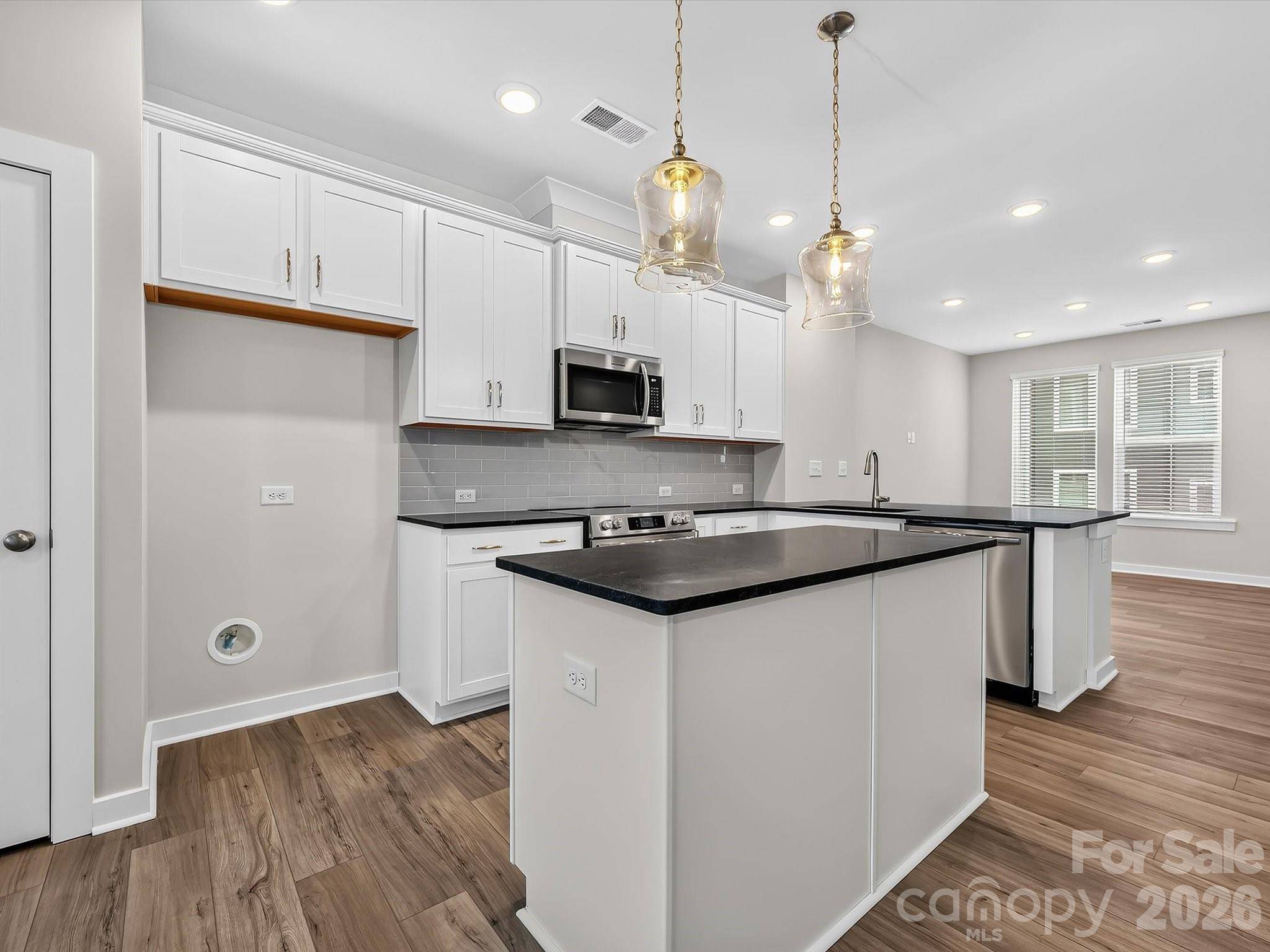 1132 Bismuth LN, Charlotte, NC 28211