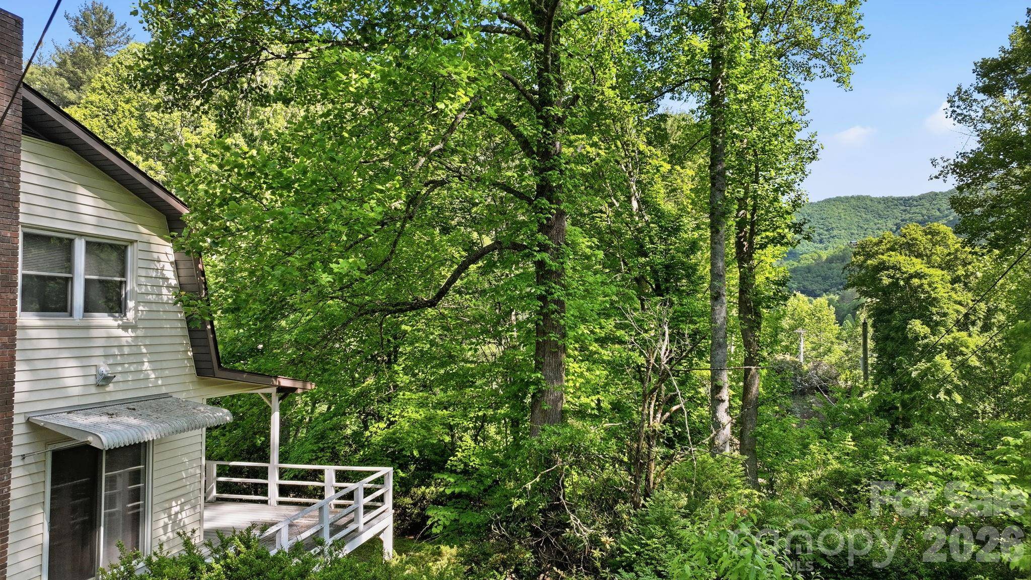 38 Pee Wee Branch BR, Sylva, NC 28779