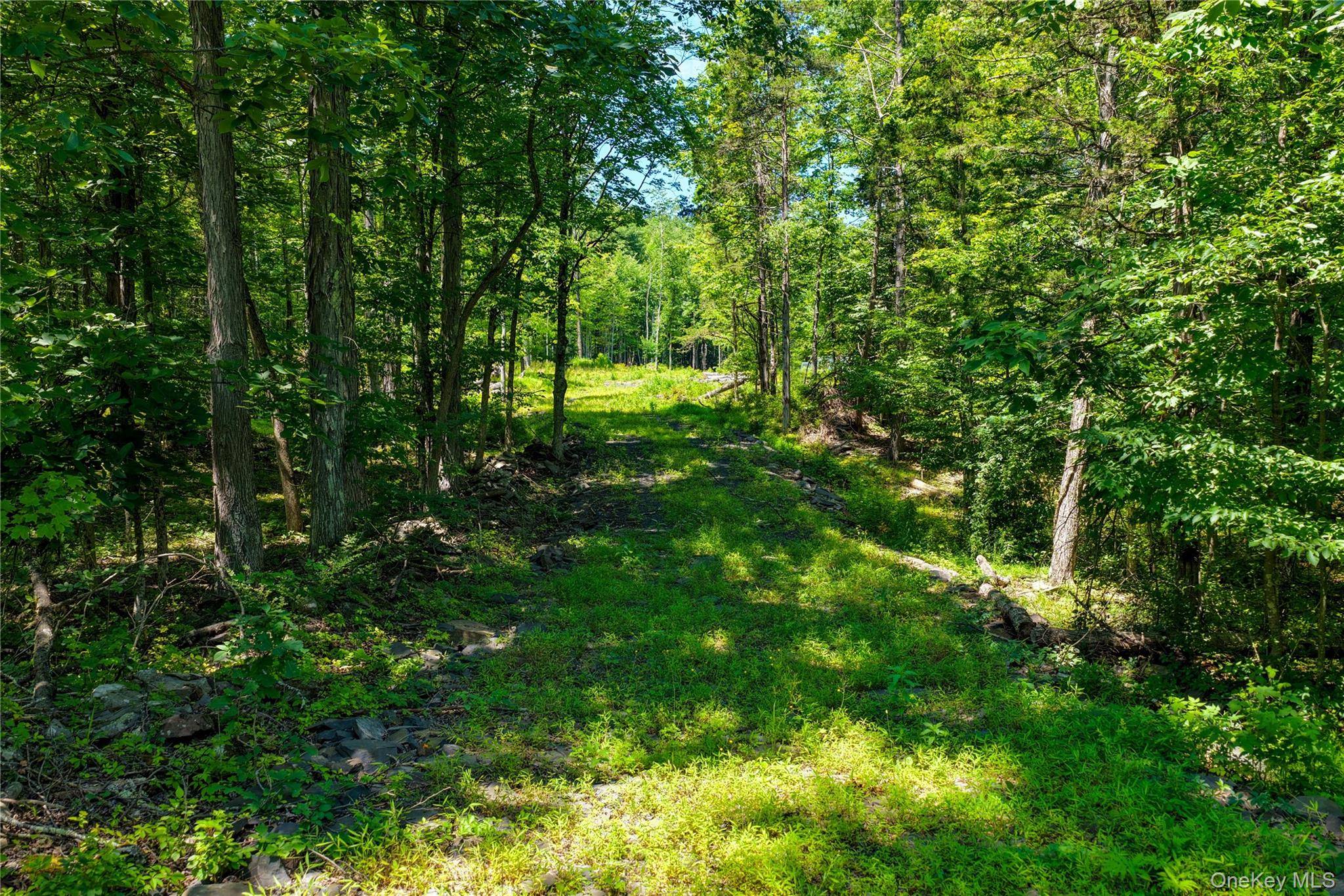 153 Roosevelt AVE, Cairo, NY 12413