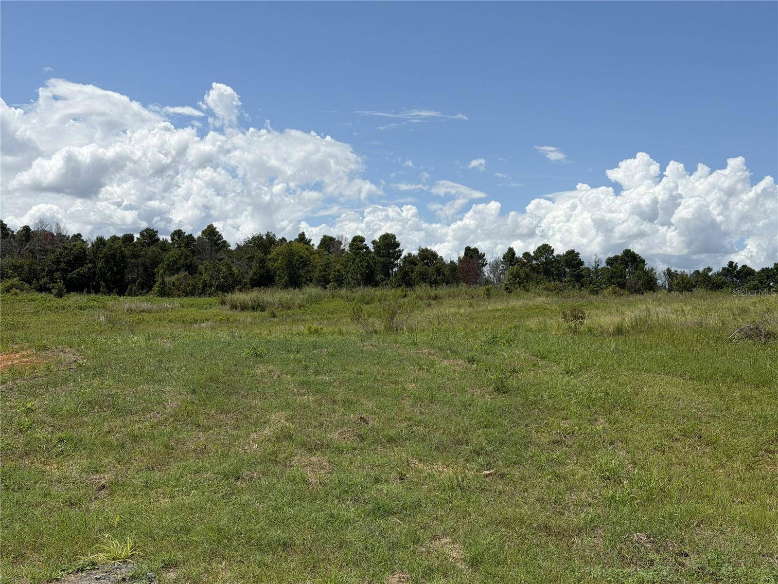 16813 BOLSENA DR, Bella Collina, FL 34756