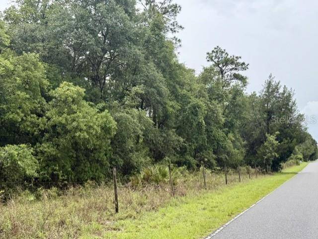4890 NW 55TH AVE, Bell, FL 32619