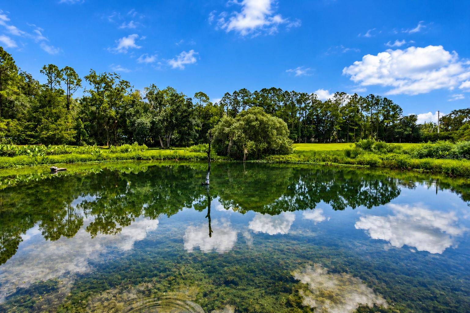 2015 NW 35TH ST, Ocala, FL 34475