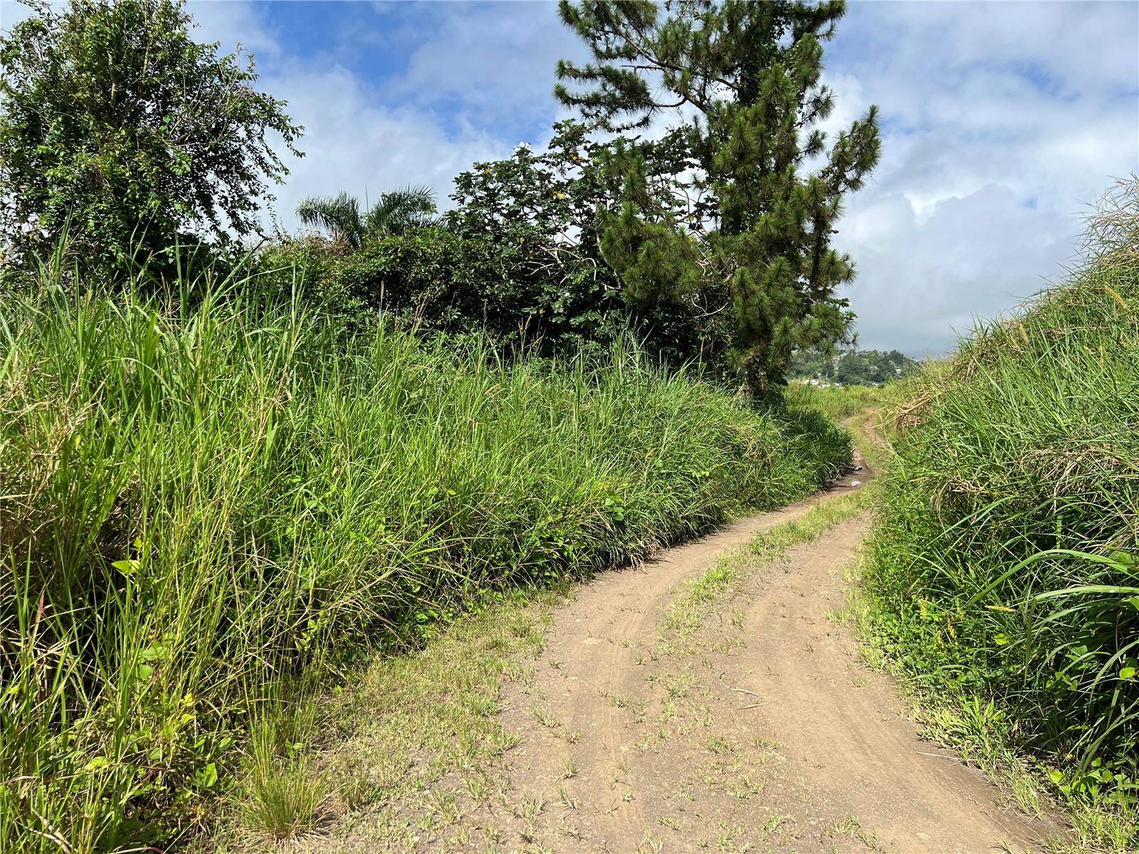 KM 0.2 INT Bo. Helechal PR 152, Barranquitas, PR 00794