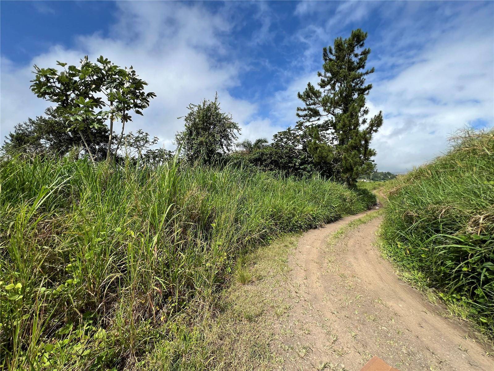 KM 0.2 INT Bo. Helechal PR 152, Barranquitas, PR 00794