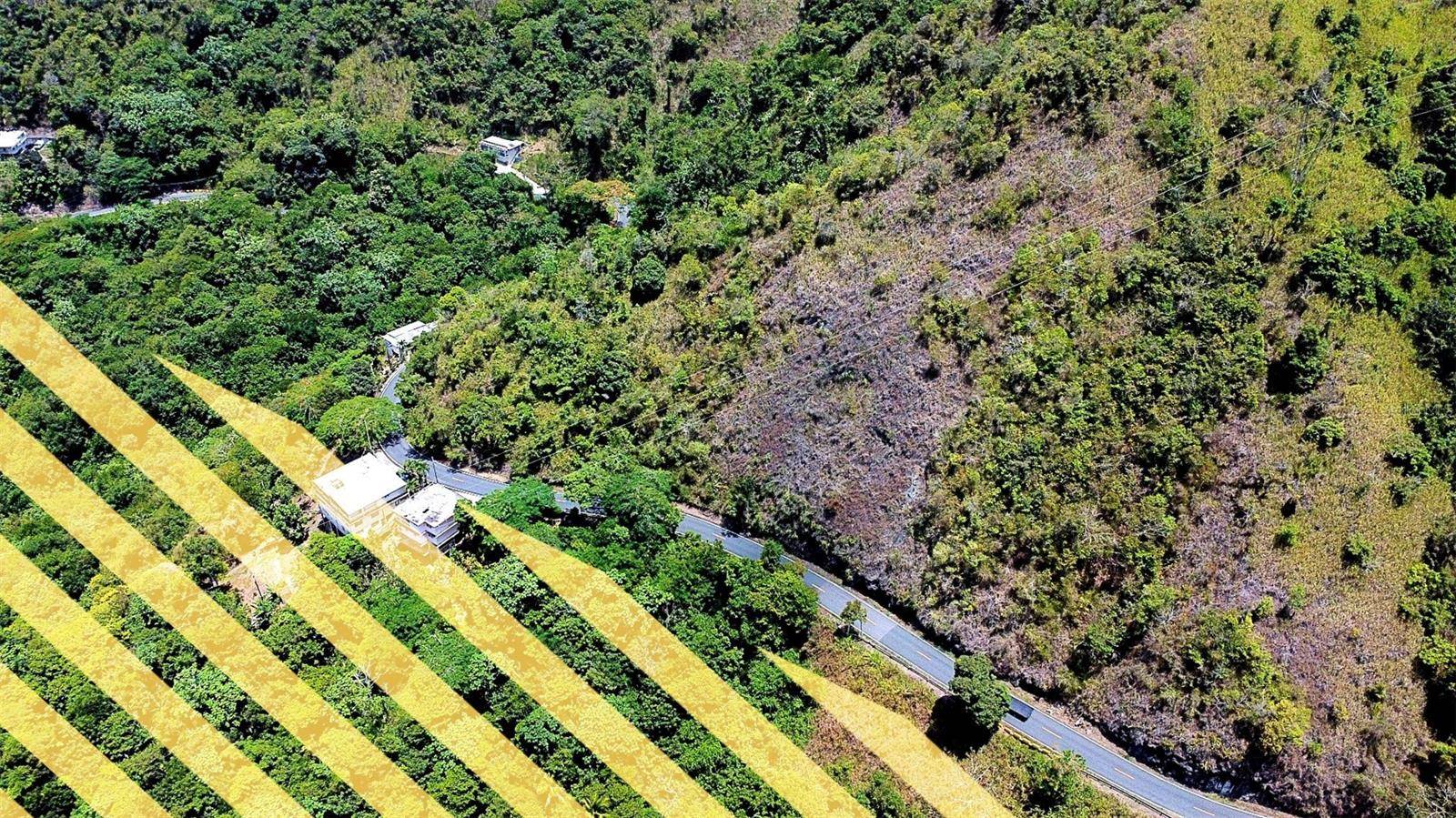 CARR 15 KM 21, Cayey, PR 00736