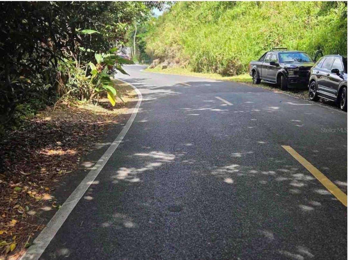 CARR 15 KM 21, Cayey, PR 00736