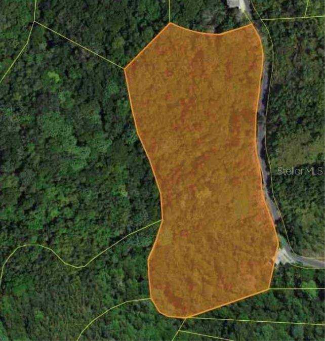 CARR 15 KM 21, Cayey, PR 00736
