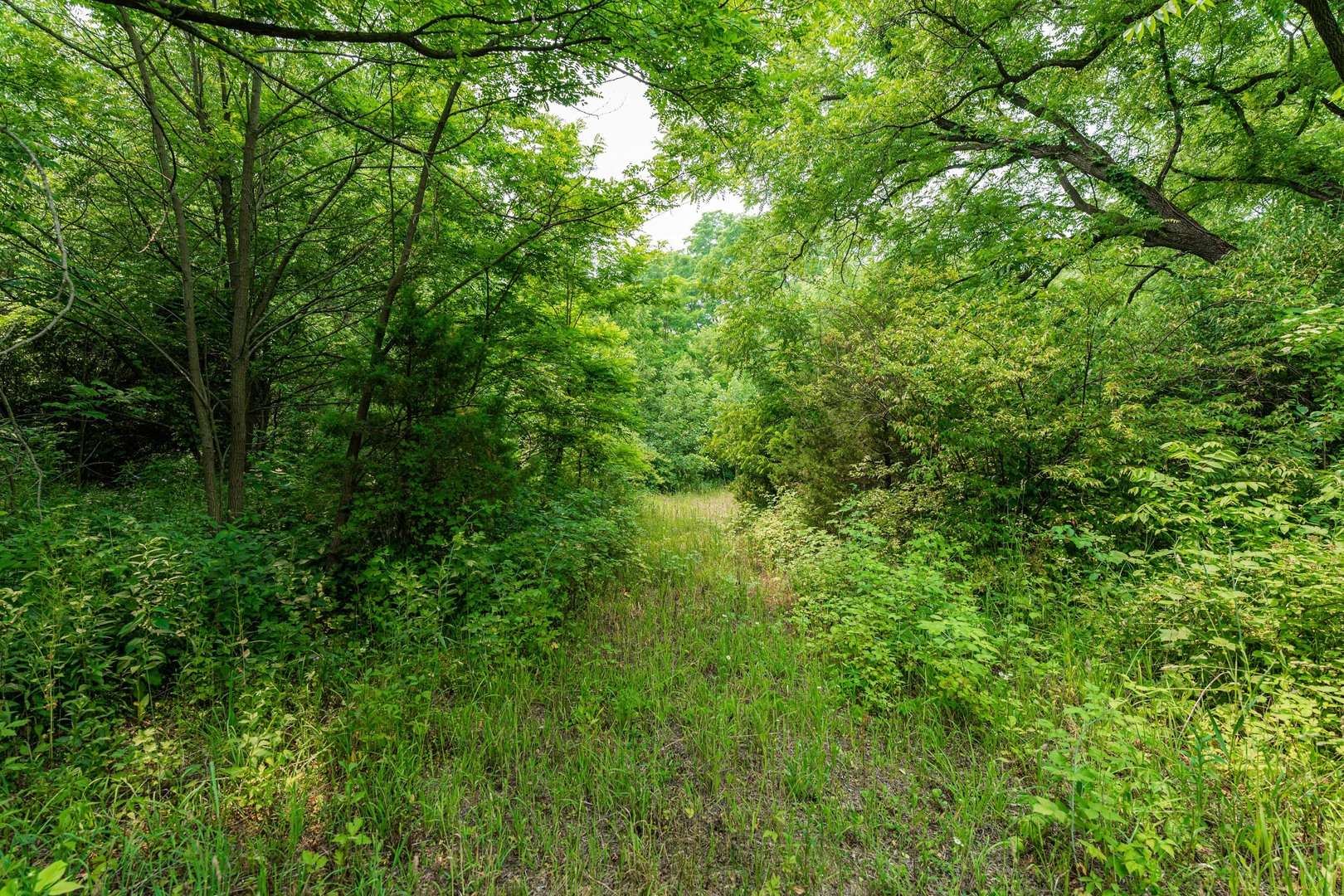 5N024 Route 31, St. Charles, IL 60175