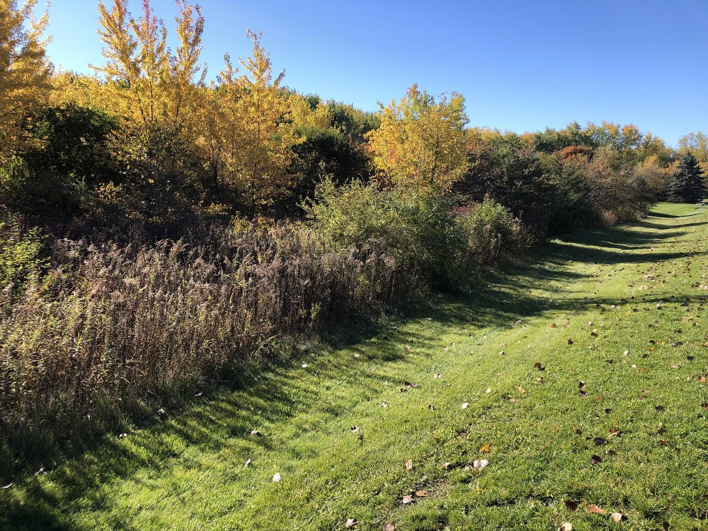 14067 W Pratum Terra DR, Wadsworth, IL 60083