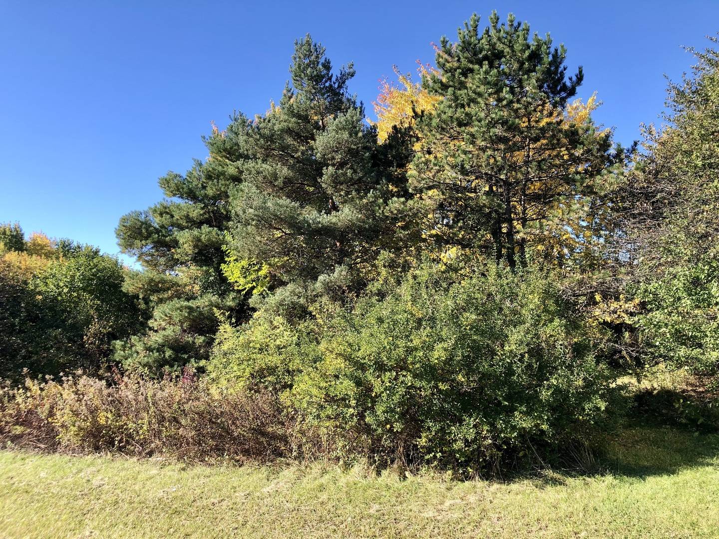 14067 W Pratum Terra DR, Wadsworth, IL 60083
