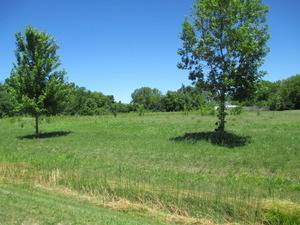 23787 W Reindeer TRL, Lake Villa, IL 60046
