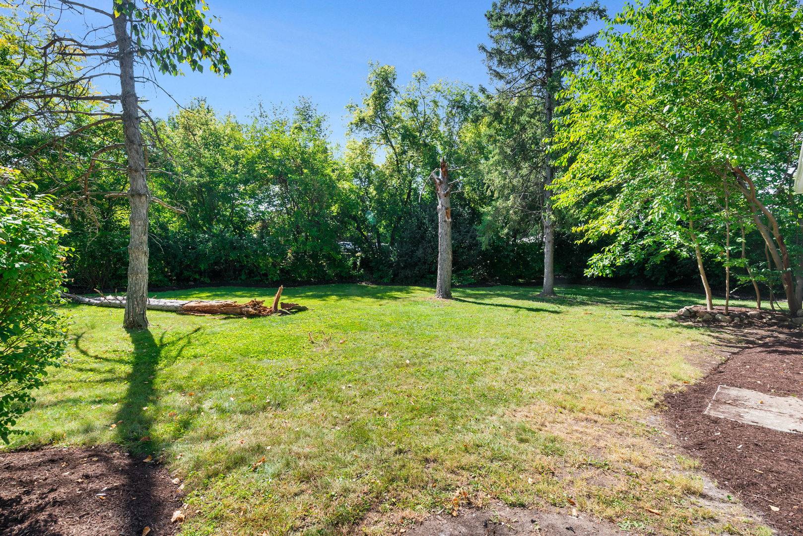88 N Airlite ST, Elgin, IL 60123