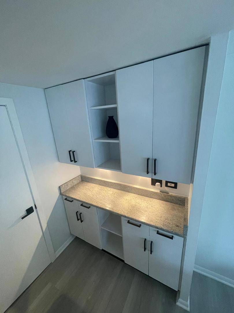 1221 N Dearborn ST #1409N, Chicago, IL 60610