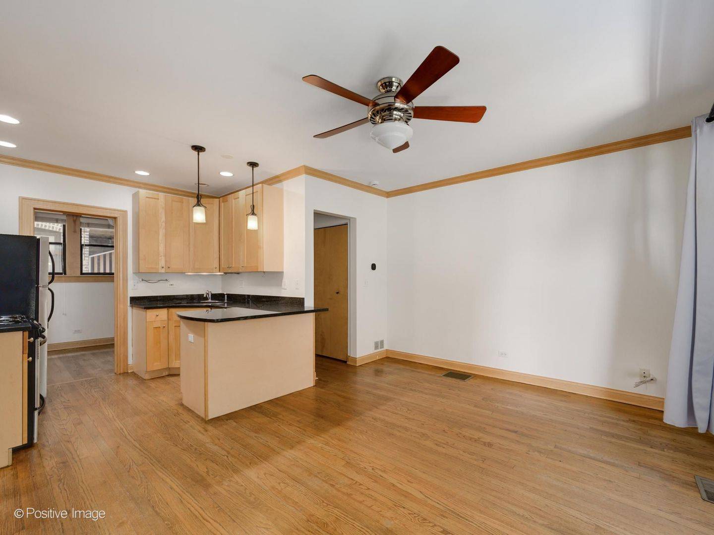 1151 W Grace ST #1S, Chicago, IL 60613