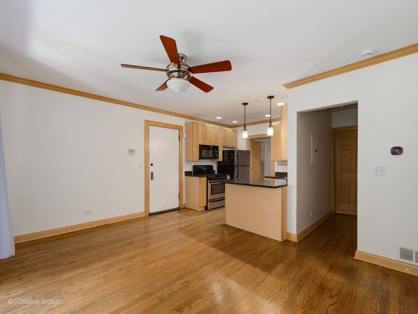 1151 W Grace ST #1S, Chicago, IL 60613