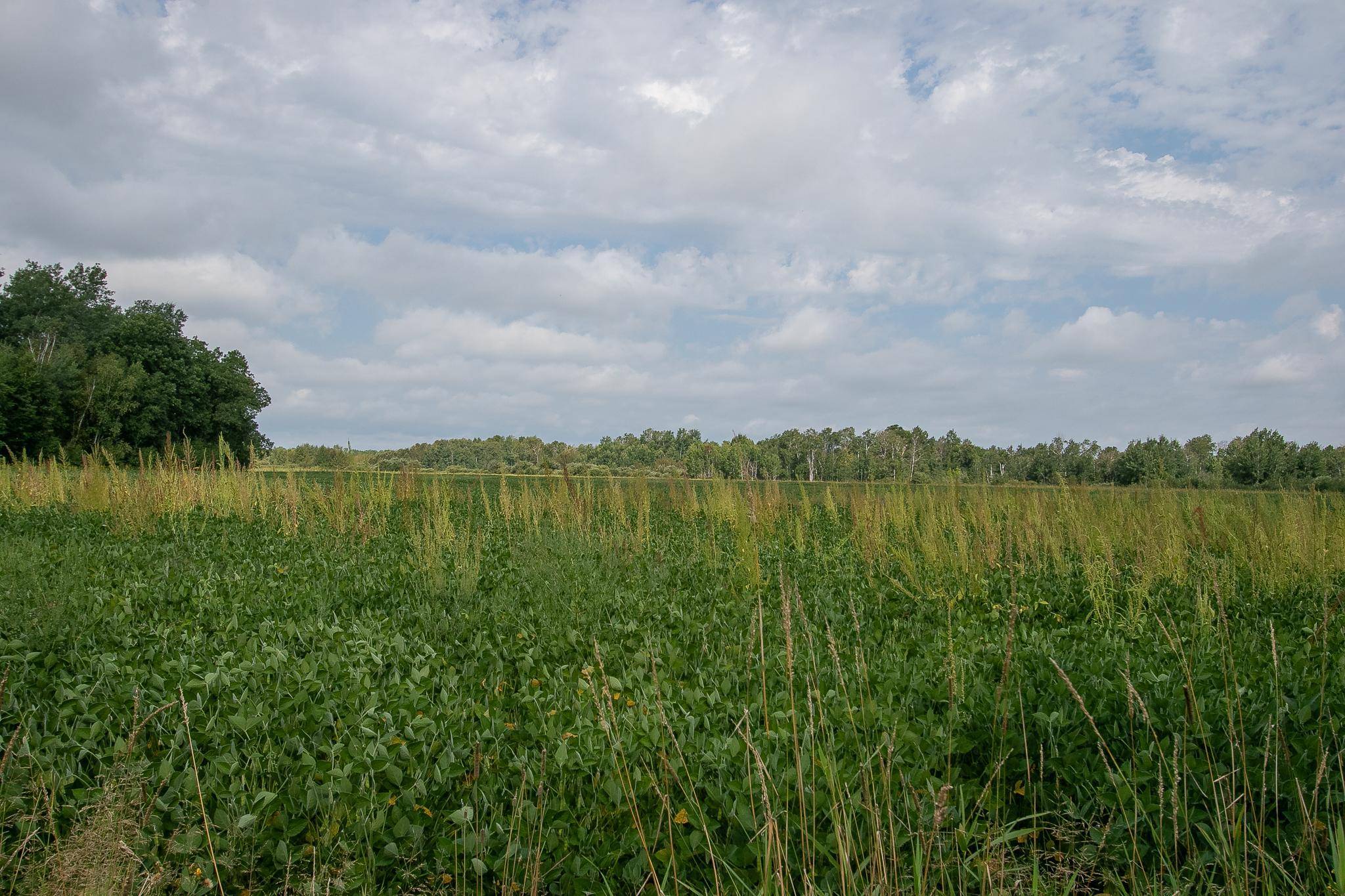 TBD County Road 11, Aitkin, MN 56431