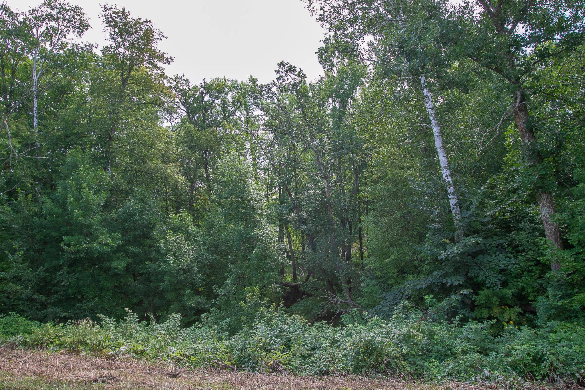 TBD County Road 11, Aitkin, MN 56431