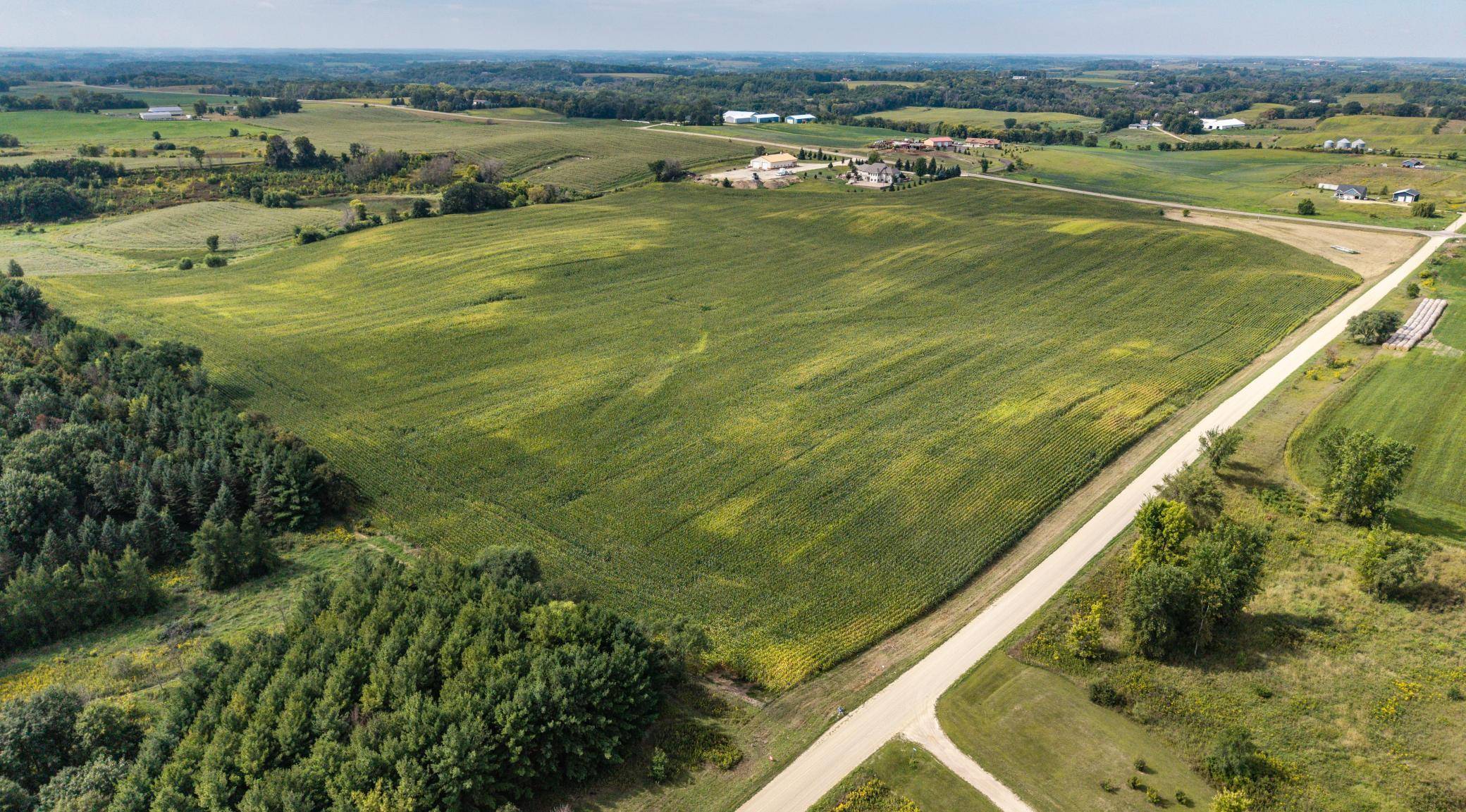 XXXX Dent Ave, Webster, MN 55088