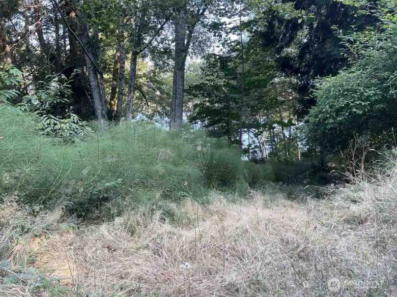 108 E Beaver LN, Shelton, WA 98584
