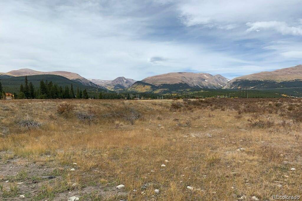 64 Glissade TRL, Alma, CO 80420