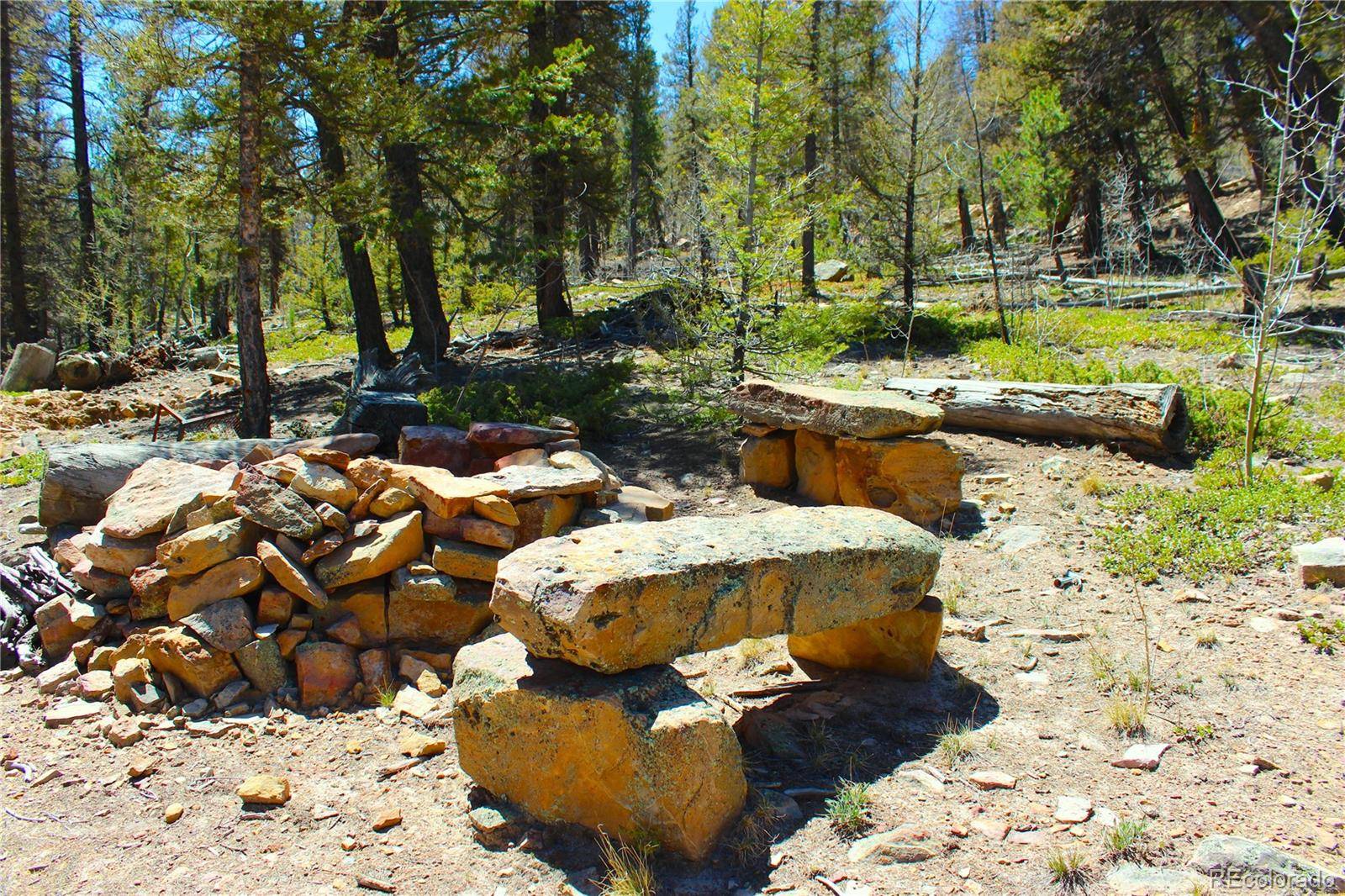 2882 Middle Fork VIS, Fairplay, CO 80440