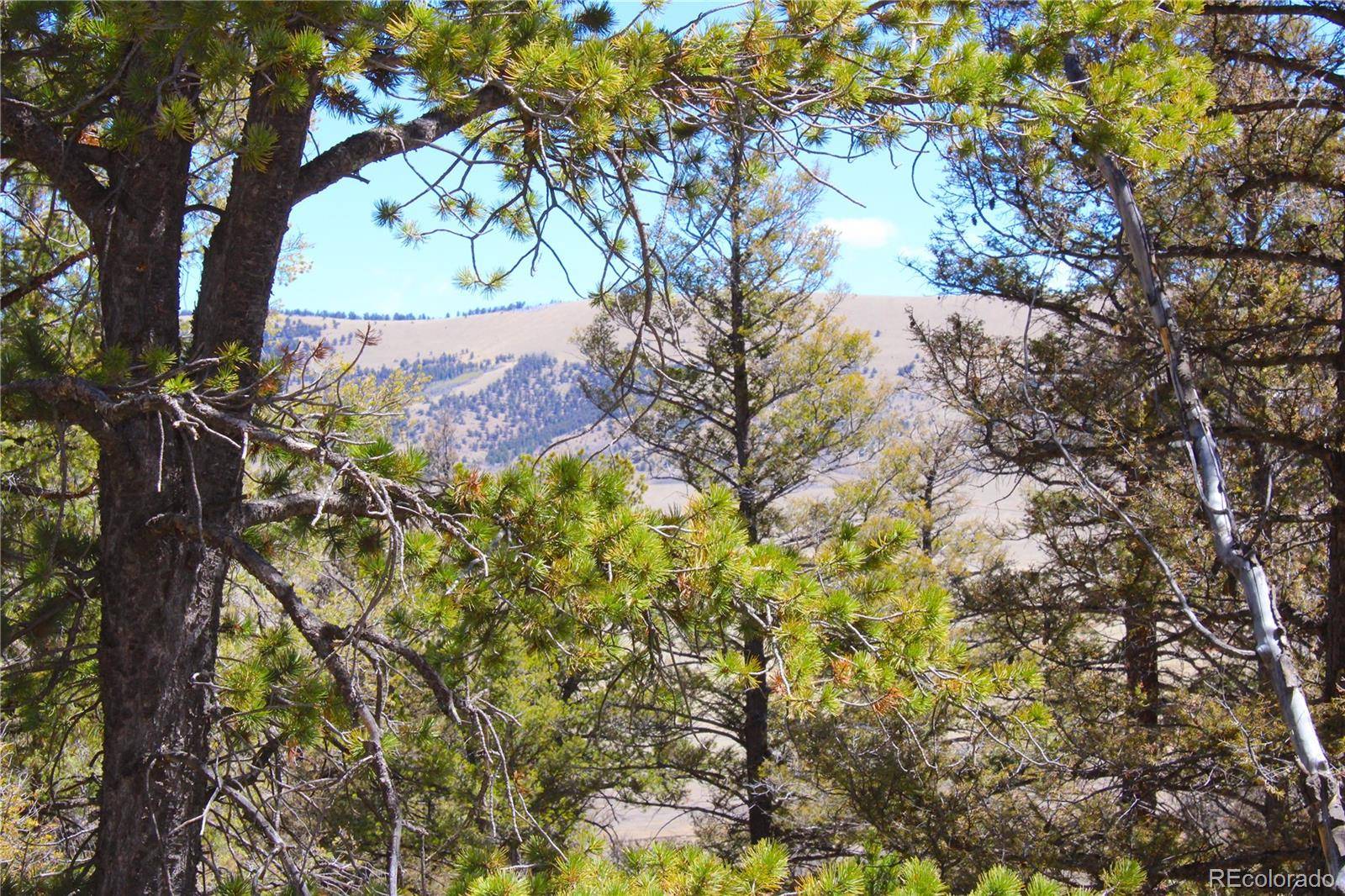 2882 Middle Fork VIS, Fairplay, CO 80440