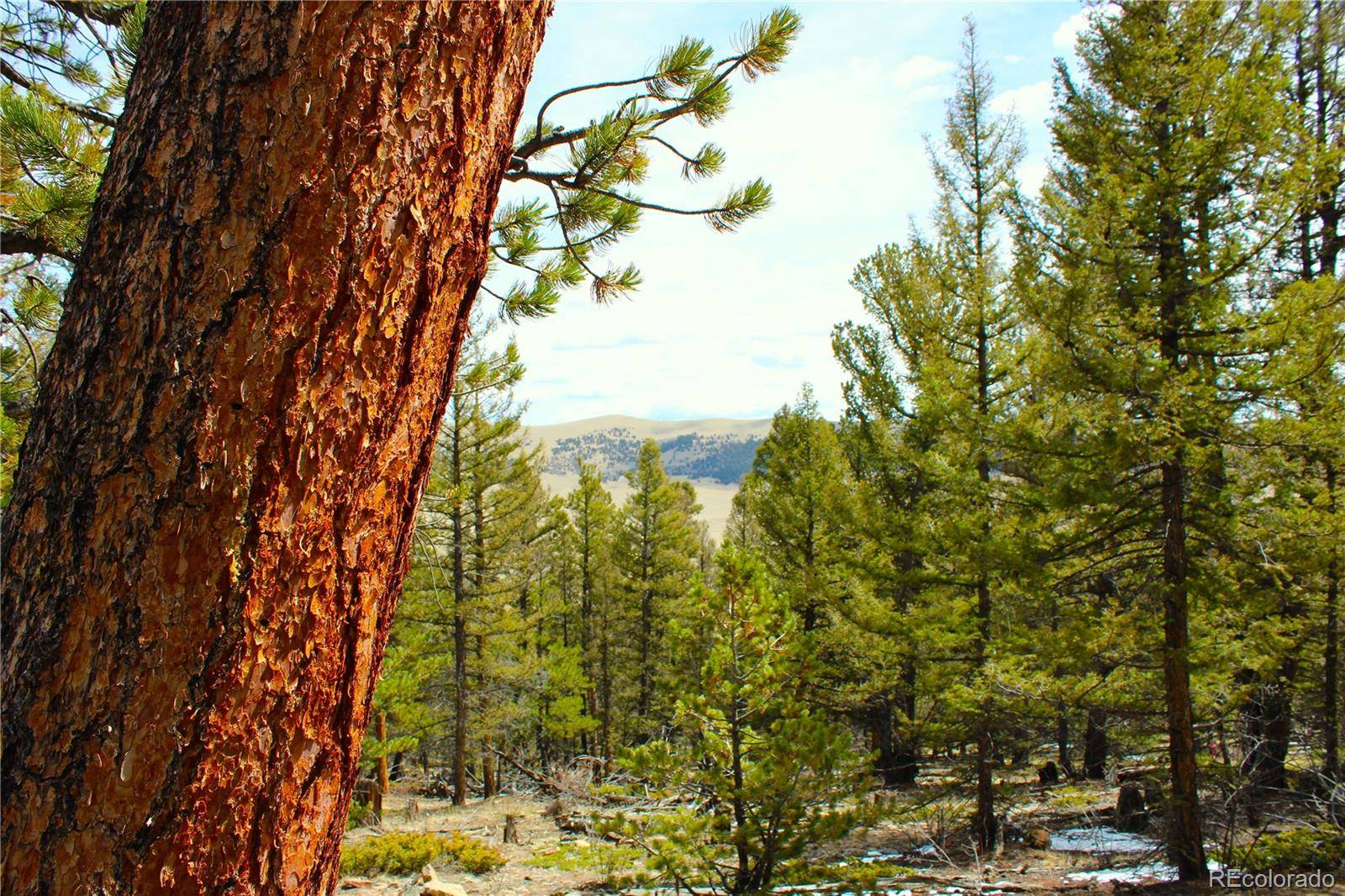2882 Middle Fork VIS, Fairplay, CO 80440