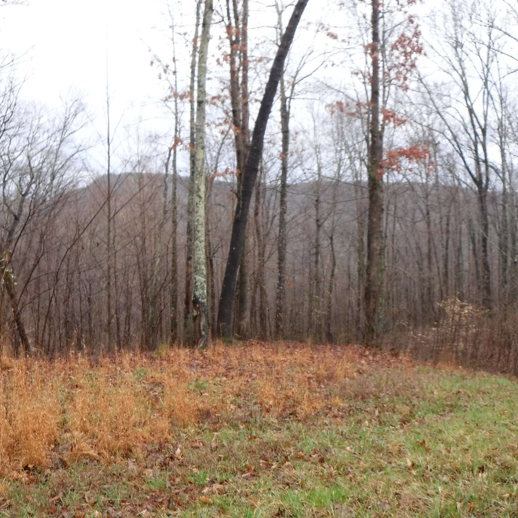 0 Cheyenne Drive, Jamestown, TN 38556