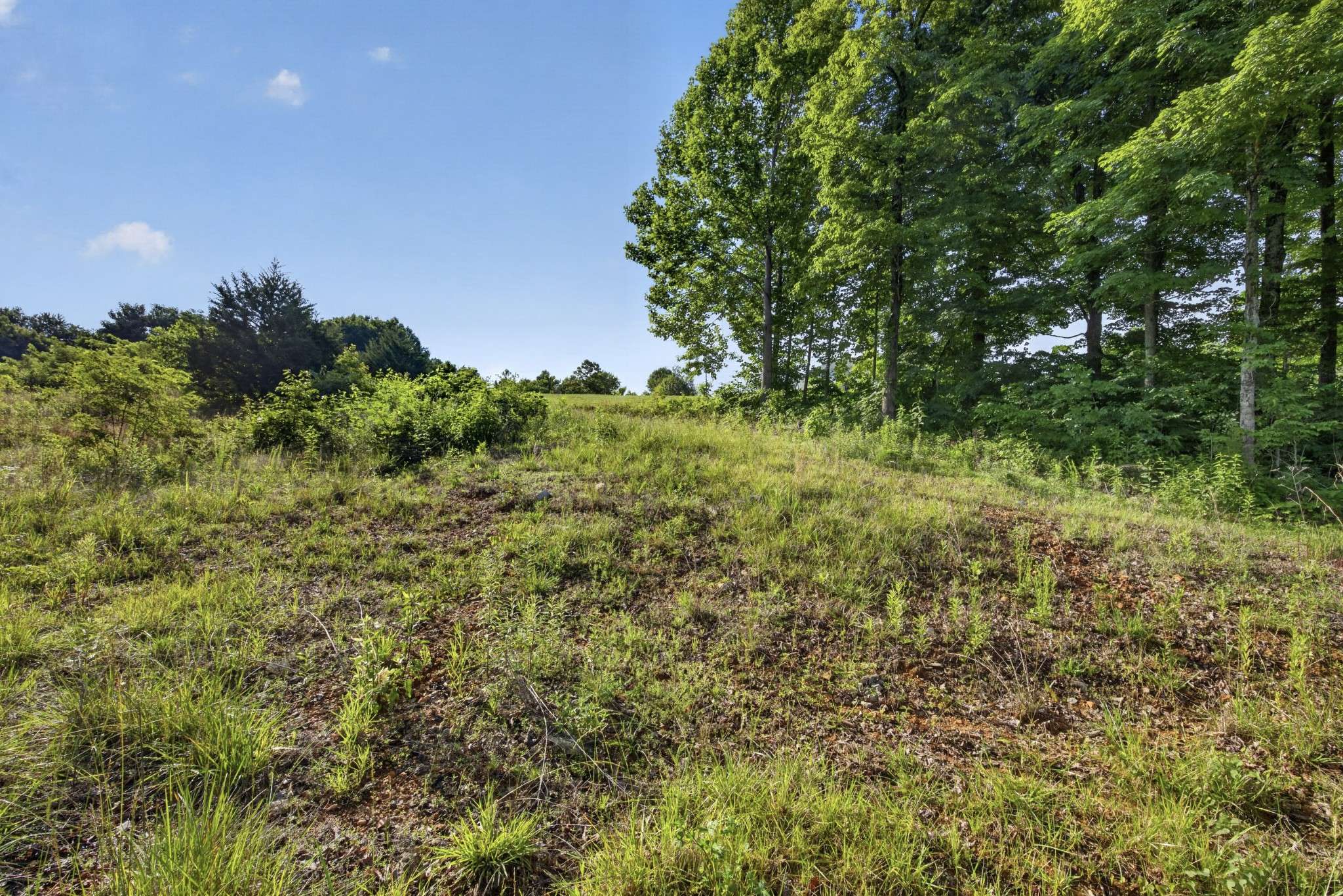 0 Hidden Cove Lane, Allons, TN 38541