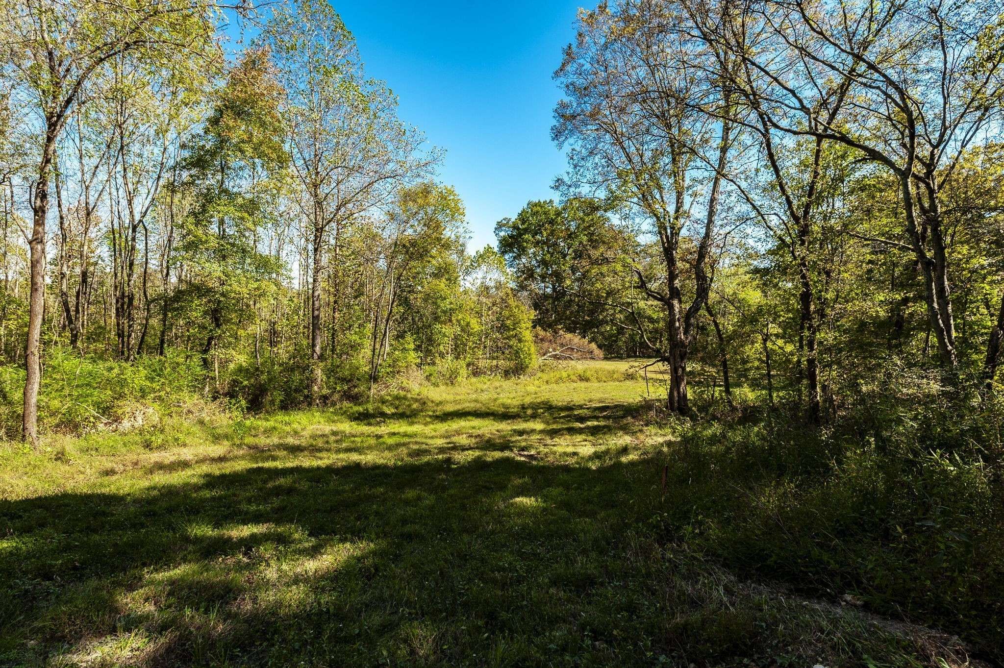 0 Highway 52E, Portland, TN 37148