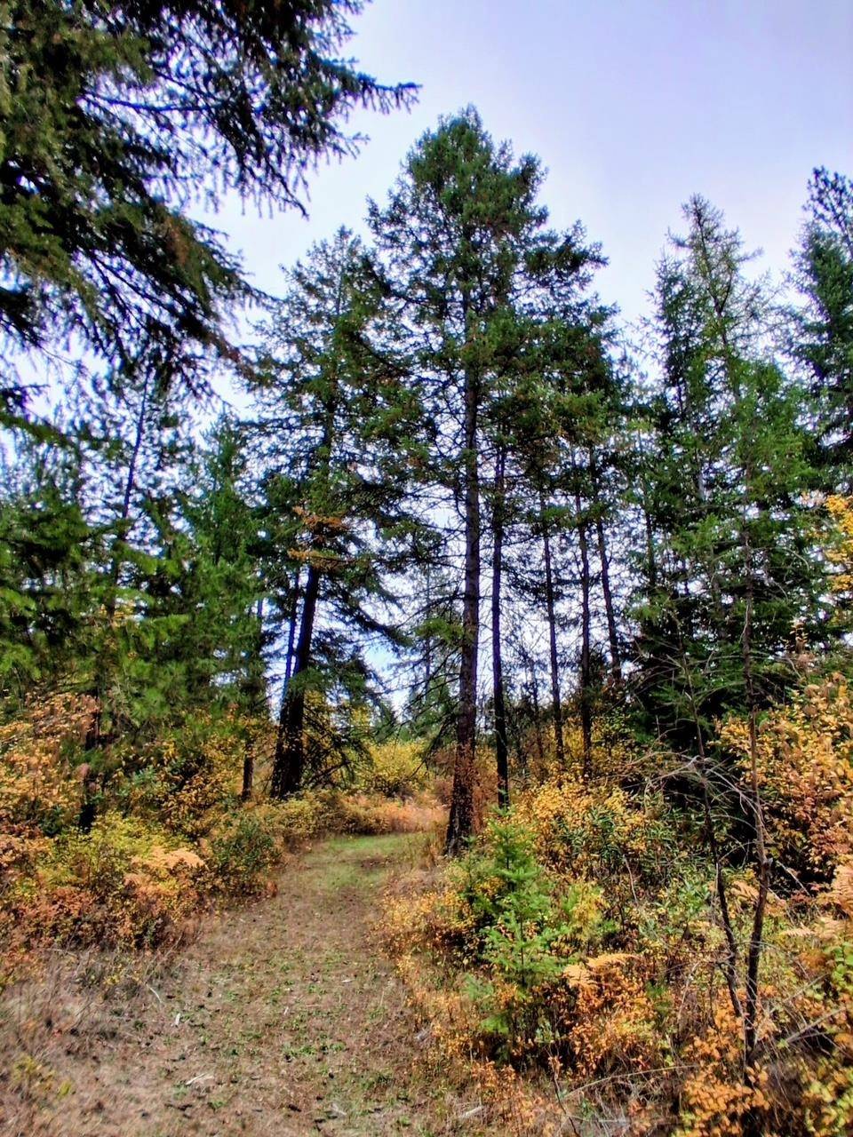 706 mccammon Rd, Elk, WA 99009