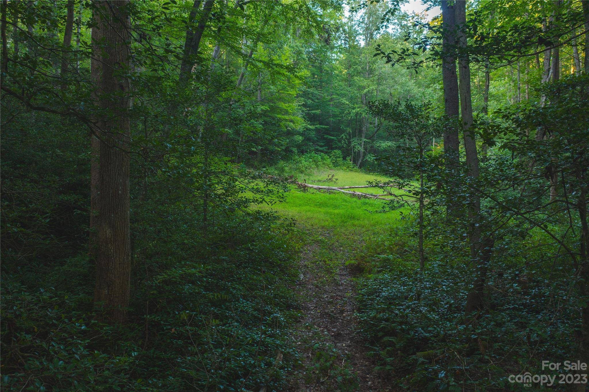 4157 Kirby Mountain RD, Lenoir, NC 28645
